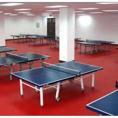 1.8m de ancho Relle PVC Vinyl de mesa de tenis de pista de piso de alfombra para el entrenamiento