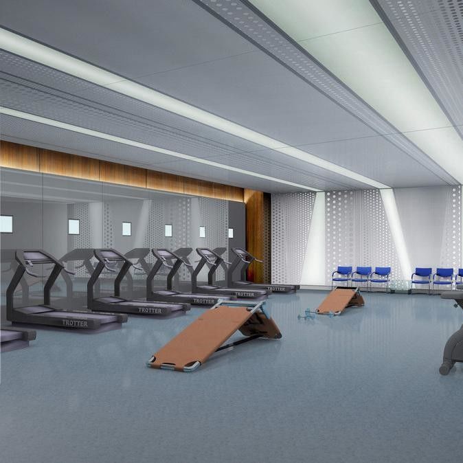 Piso de caucho EPDM de 8 mm de trabajo pesado Colorido Gimnasio deportivo Epdm Superficie de caucho